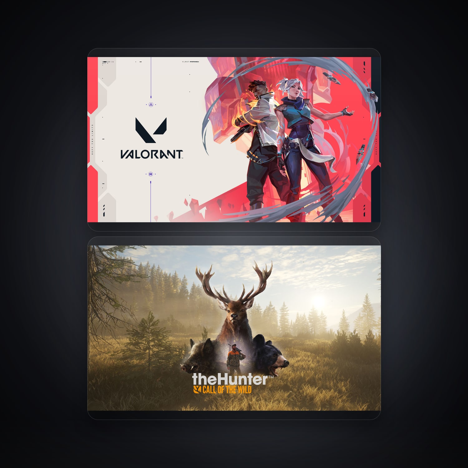 VALORANT & theHunter: Call of the Wild | 2 Games — HabibiAccounts