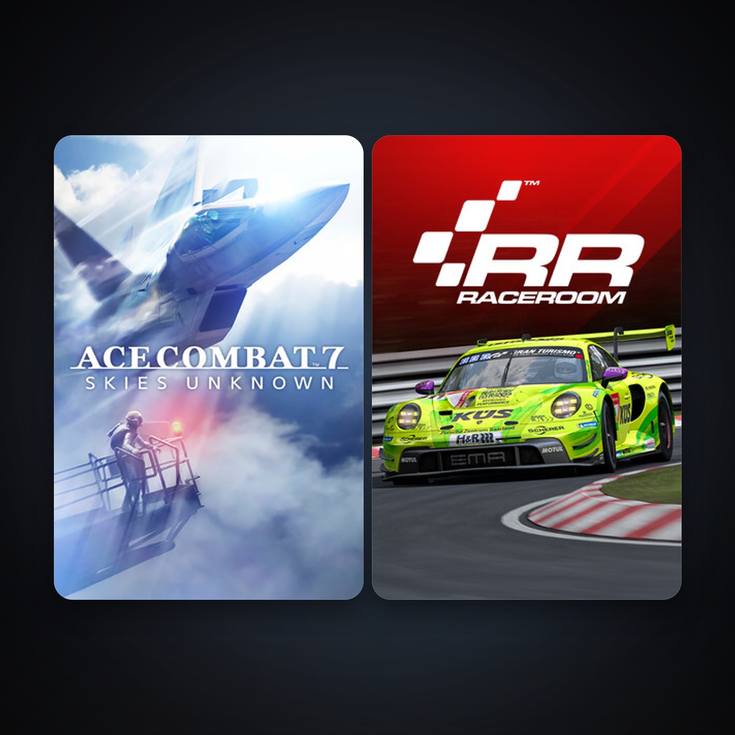 RaceRoom Racing Experience + ACE COMBAT 7: SKIES UNKNOWN, 4 games, clean — HabibiAccounts