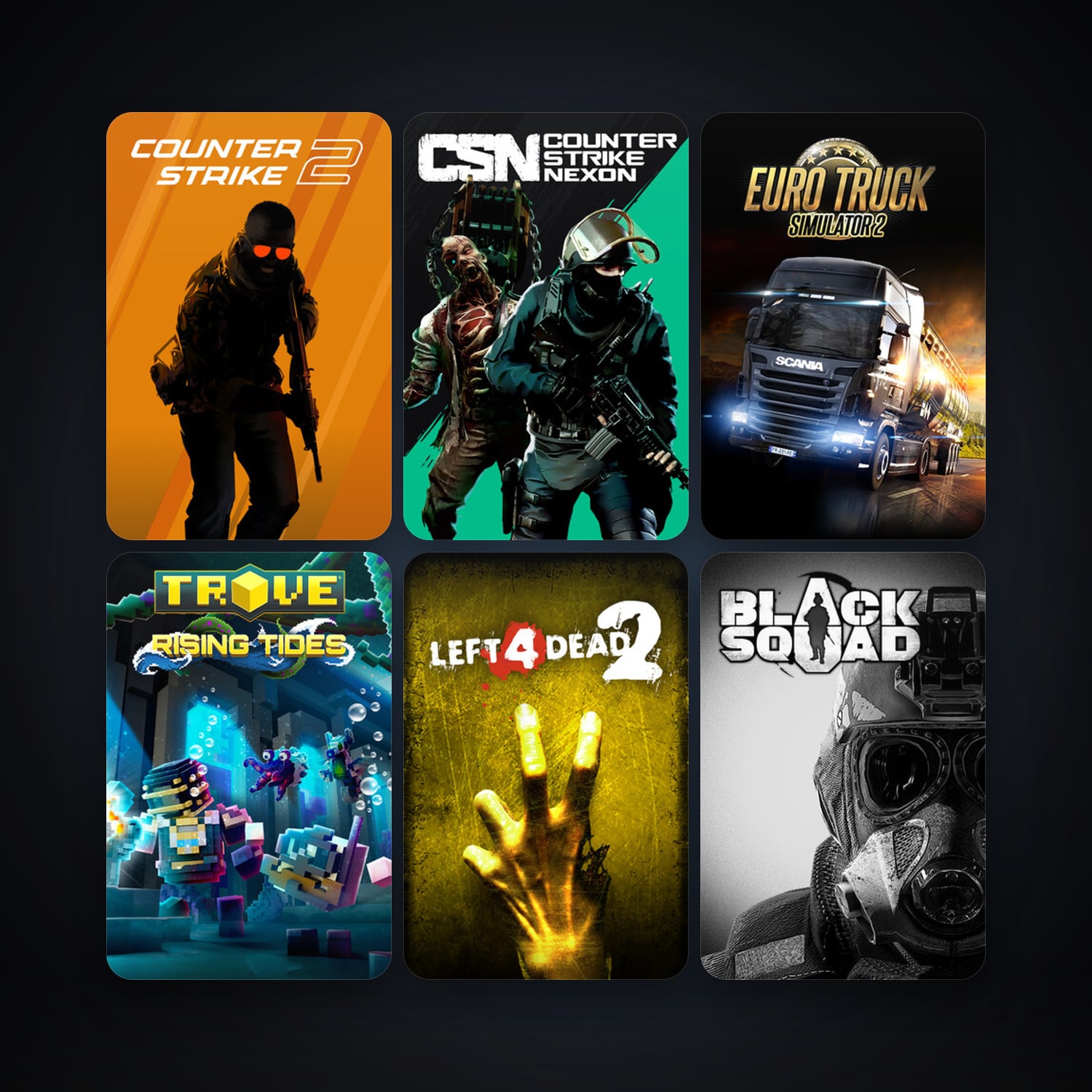 Left 4 Dead 2 + CS2 Prime, 13 games, clean — HabibiAccounts