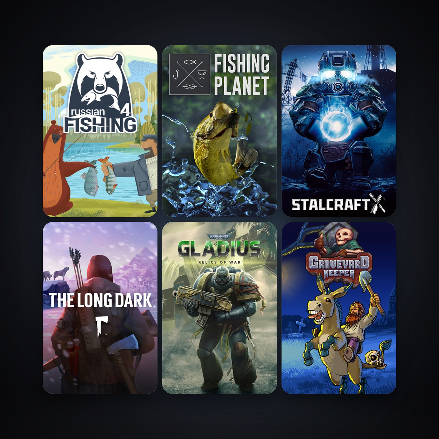 حساب ستيم فلين، The Long Dark وFishing Planet، 18 لعبة، صامد واضح — HabibiAccounts