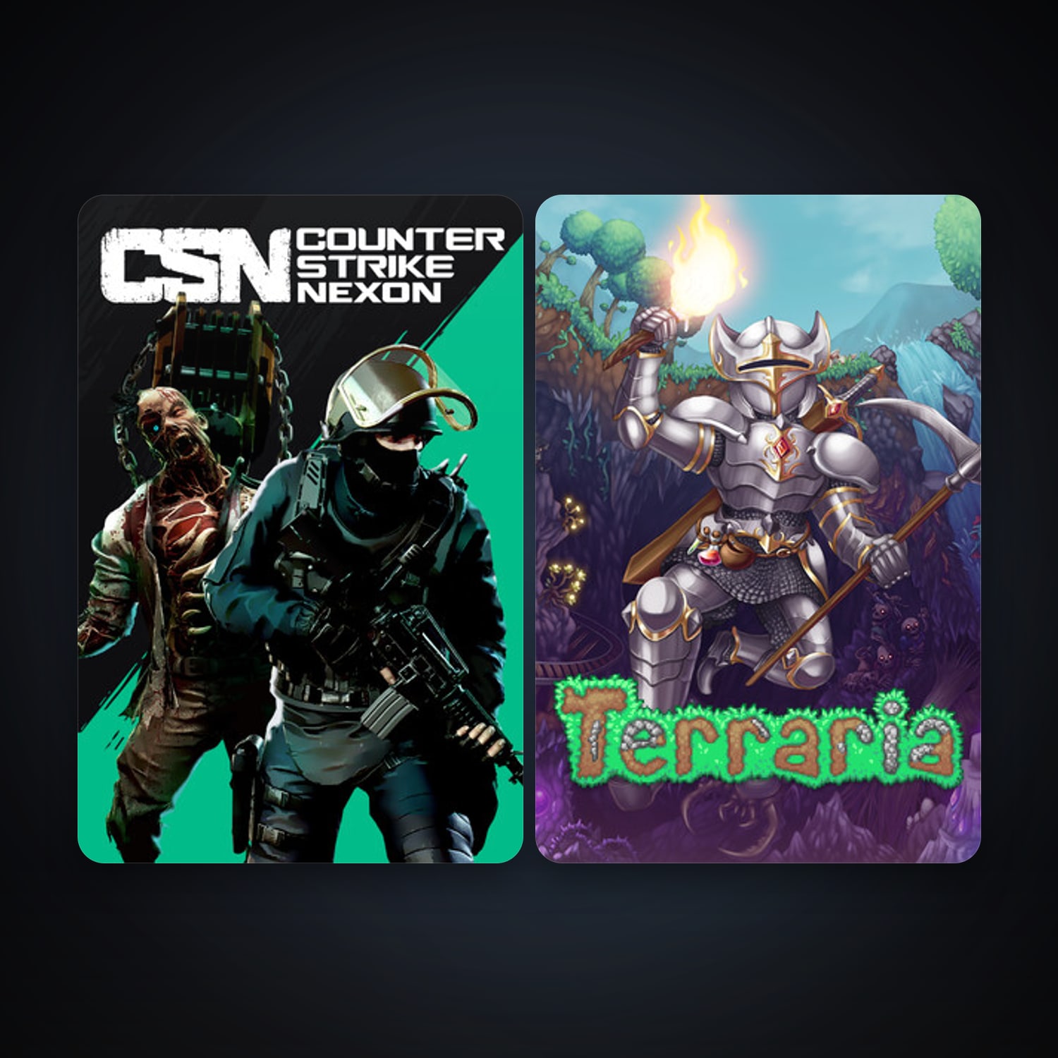 Terraria + Counter-Strike Nexon: Studio, 2 games, clean — HabibiAccounts