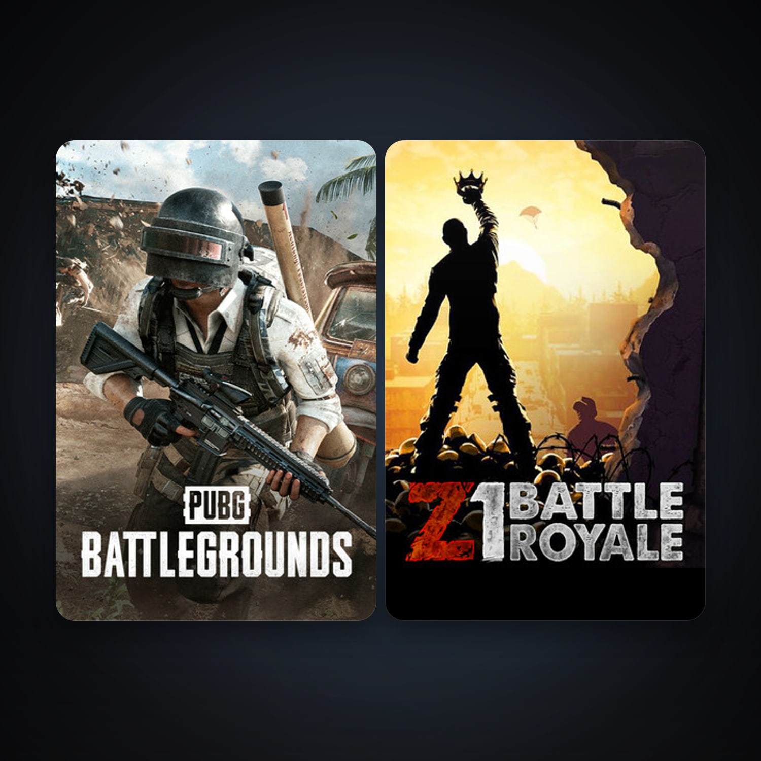 Z1 Battle Royale + PUBG: BATTLEGROUNDS, 2 games, clean — HabibiAccounts