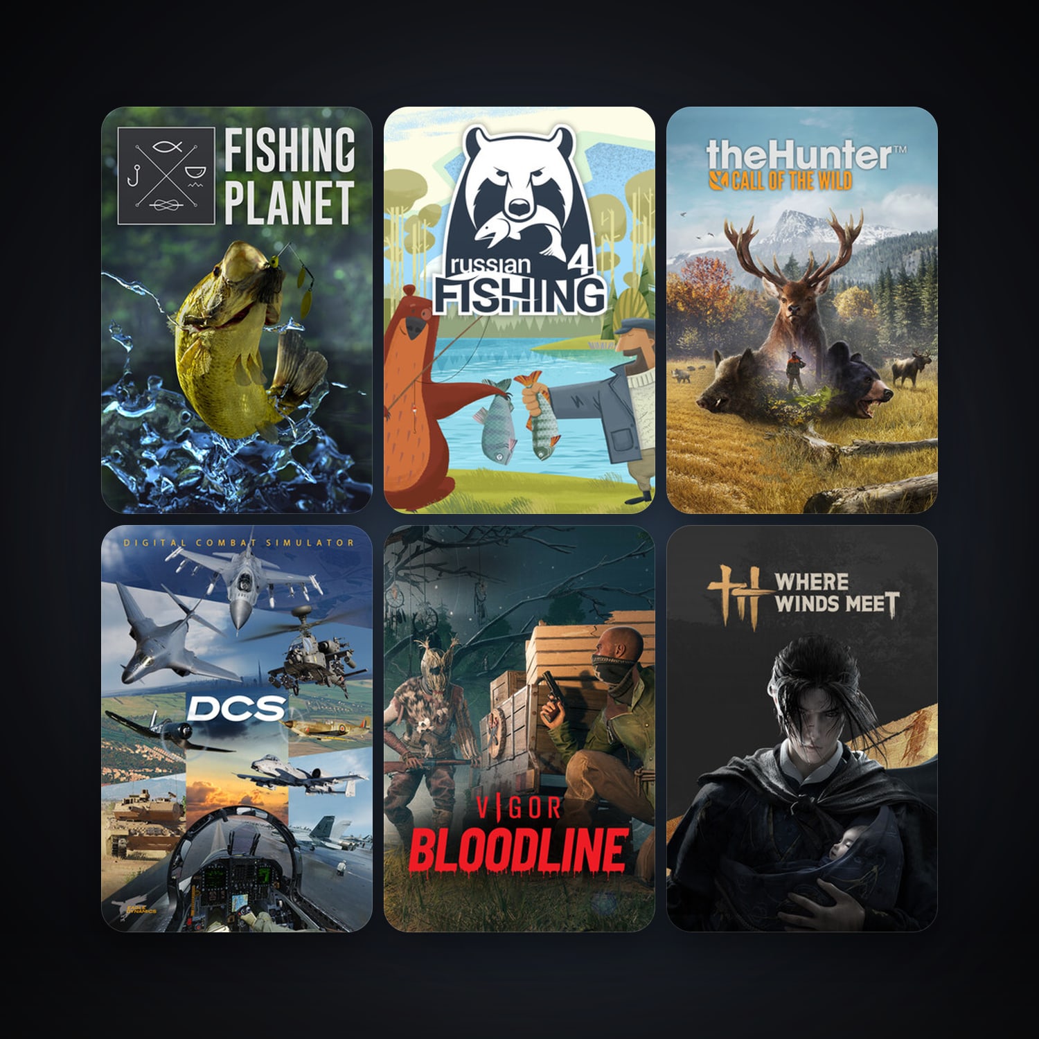 DCS World Steam Edition + Fishing Planet, 21 games, clean — HabibiAccounts