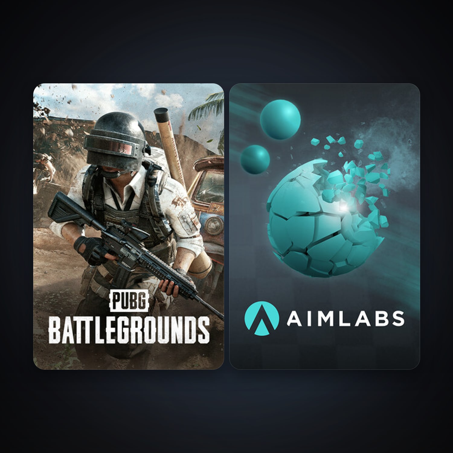 PUBG: BATTLEGROUNDS & Aimlabs — HabibiAccounts