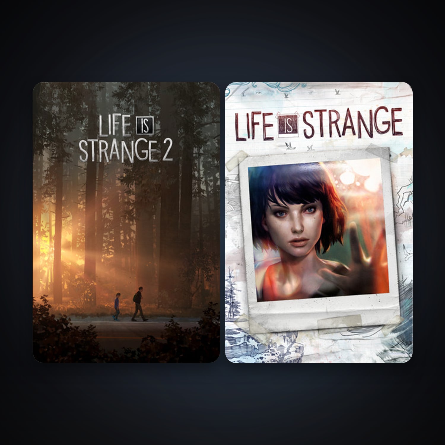 Life is Strange - Episode 1 + Life is Strange 2, 2 games, clean — HabibiAccounts