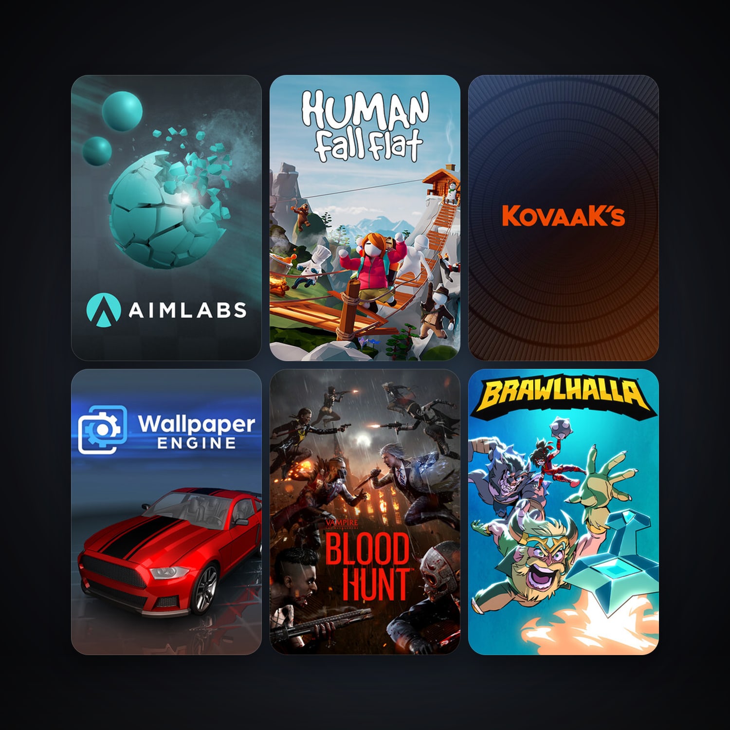 Brawlhalla + Wallpaper Engine, 9 games, clean — HabibiAccounts