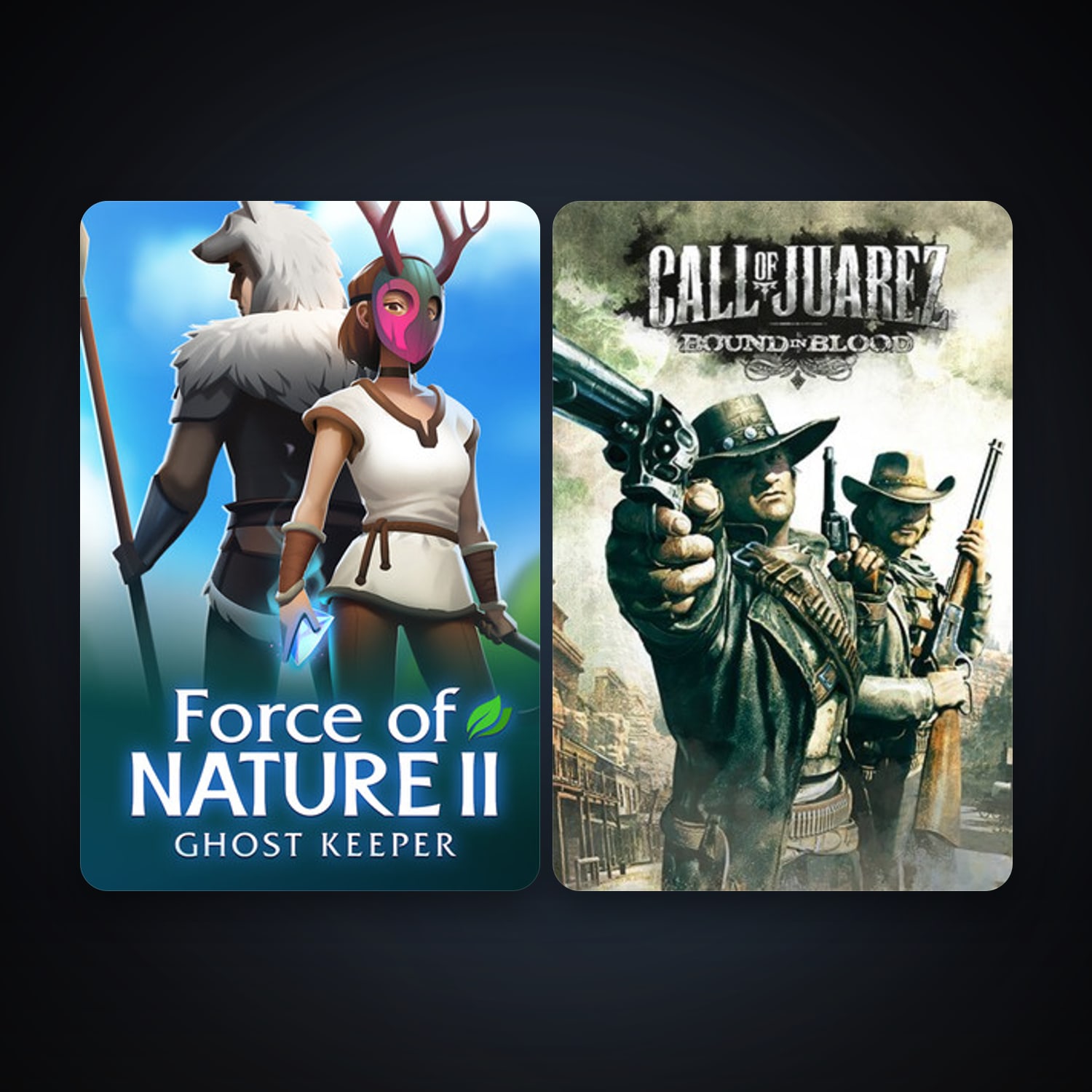 Call of Juarez: Bound in Blood + Force of Nature 2: Ghost Keeper, 5 games, clean — HabibiAccounts