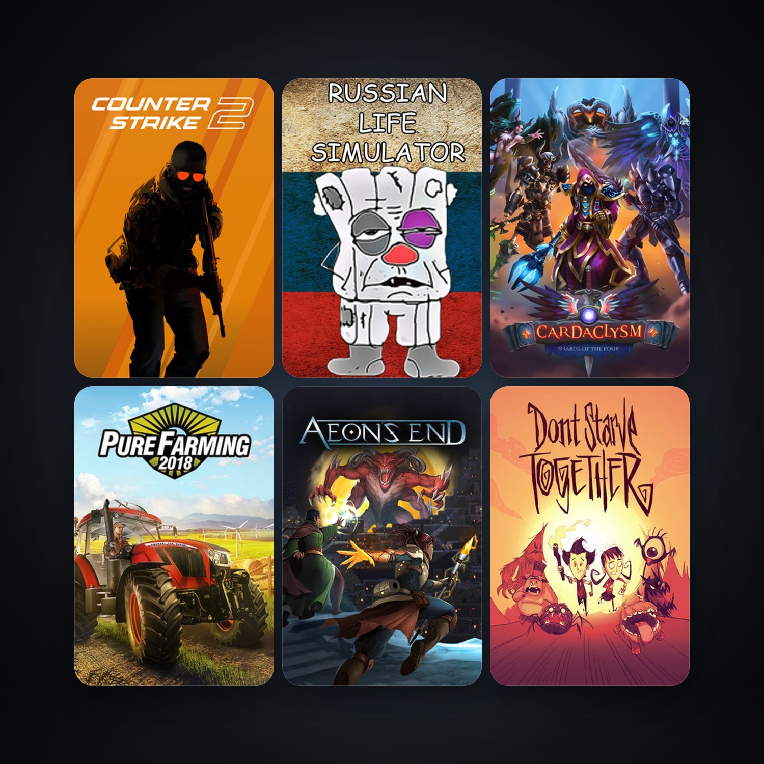 CS2 Prime + Don't Starve Together, 1351 games, Steam 14, clean — HabibiAccounts