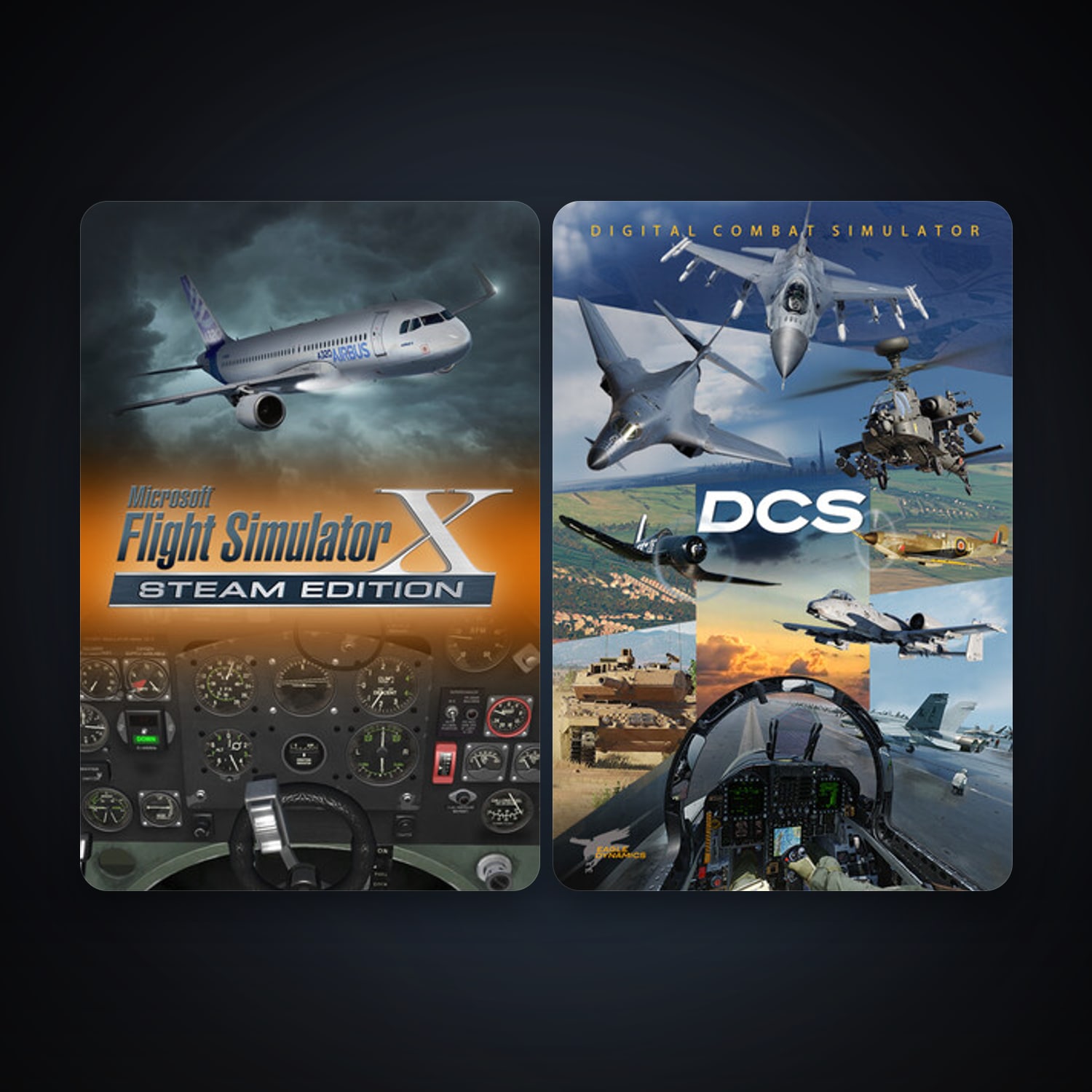 DCS World Steam Edition + Microsoft Flight Simulator X: Steam Edition, 2 games, clean — HabibiAccounts