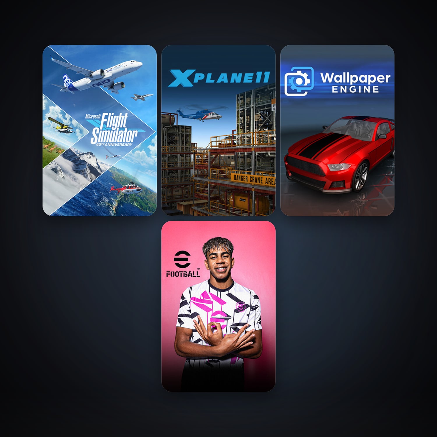 X-Plane 11 + Wallpaper Engine, 9 games, clean — HabibiAccounts