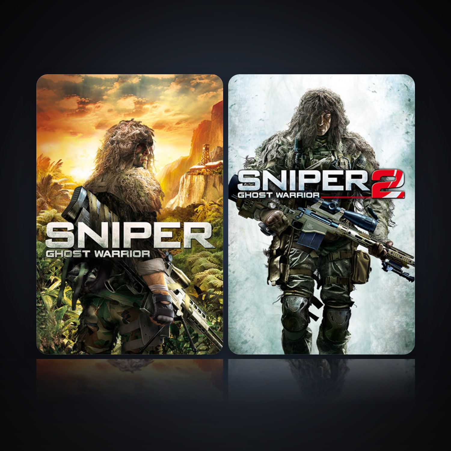 Sniper: Ghost Warrior & Sniper: Ghost Warrior 2 — HabibiAccounts
