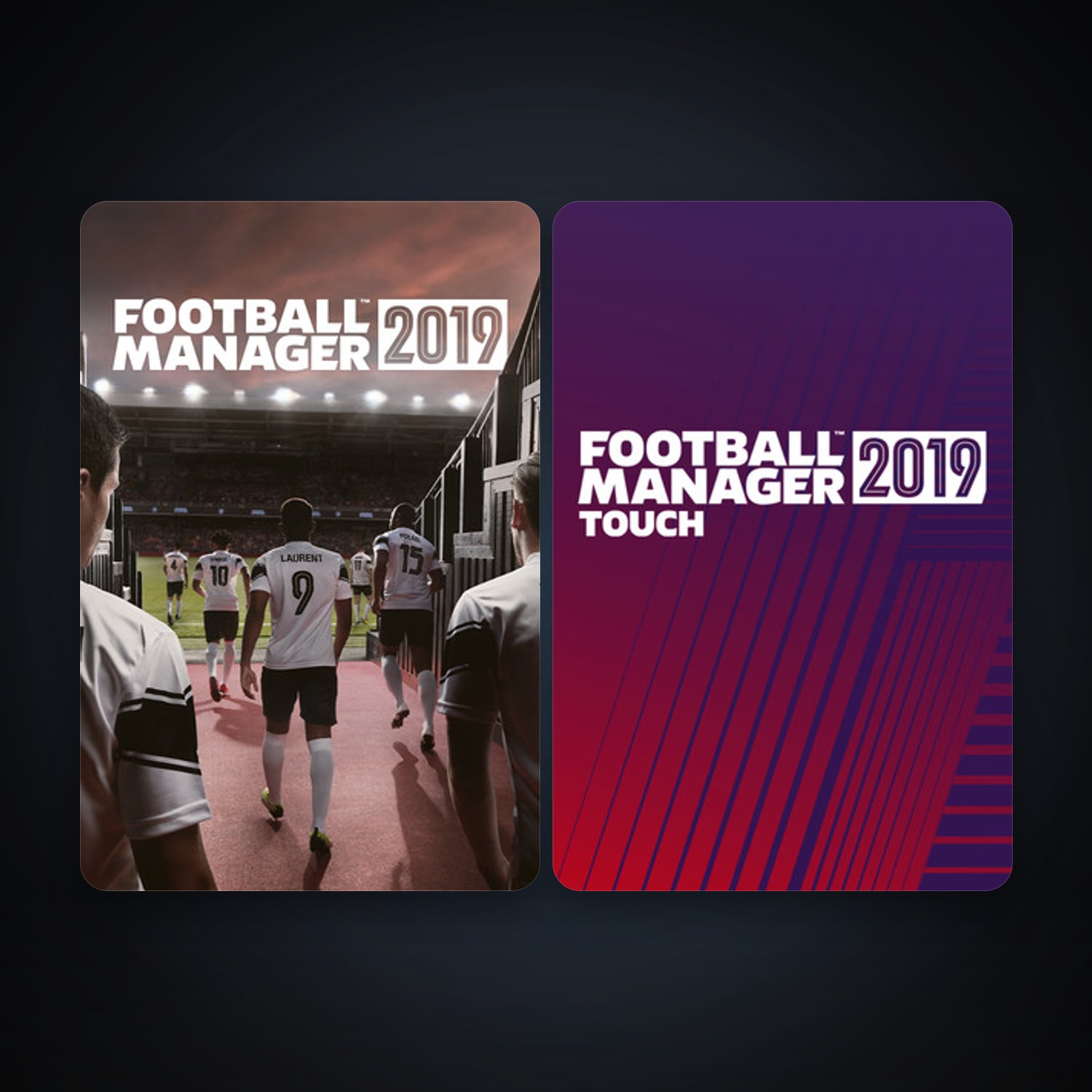 Football Manager 2019 + Football Manager 2019 Touch, 5 games, clean — HabibiAccounts