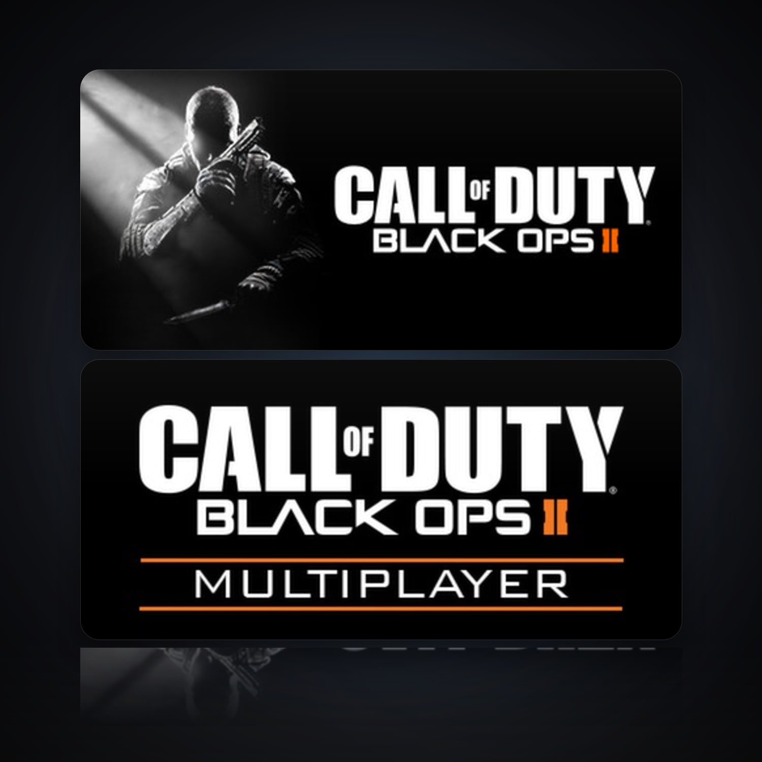 Call of Duty: Black Ops II & Call of Duty: Black Ops II - Multiplayer — HabibiAccounts