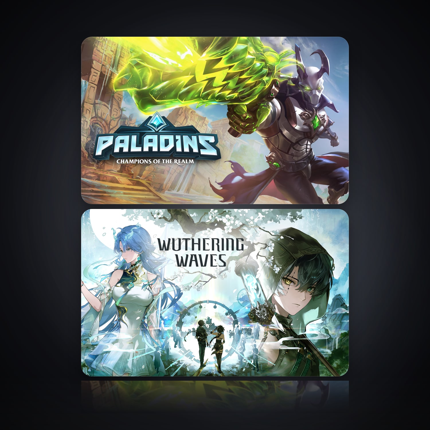 Paladins & Wuthering Waves | 2 Games — HabibiAccounts