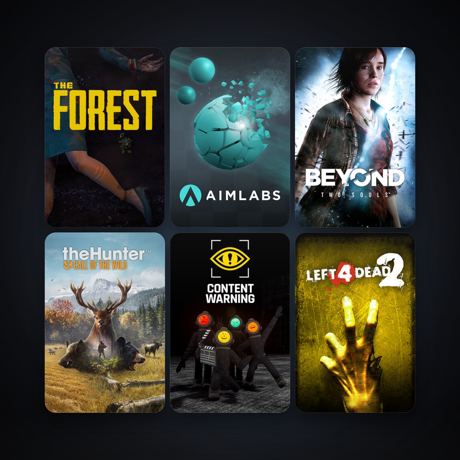 Left 4 Dead 2 + Free CS2 (No Prime), 19 games, clean — HabibiAccounts