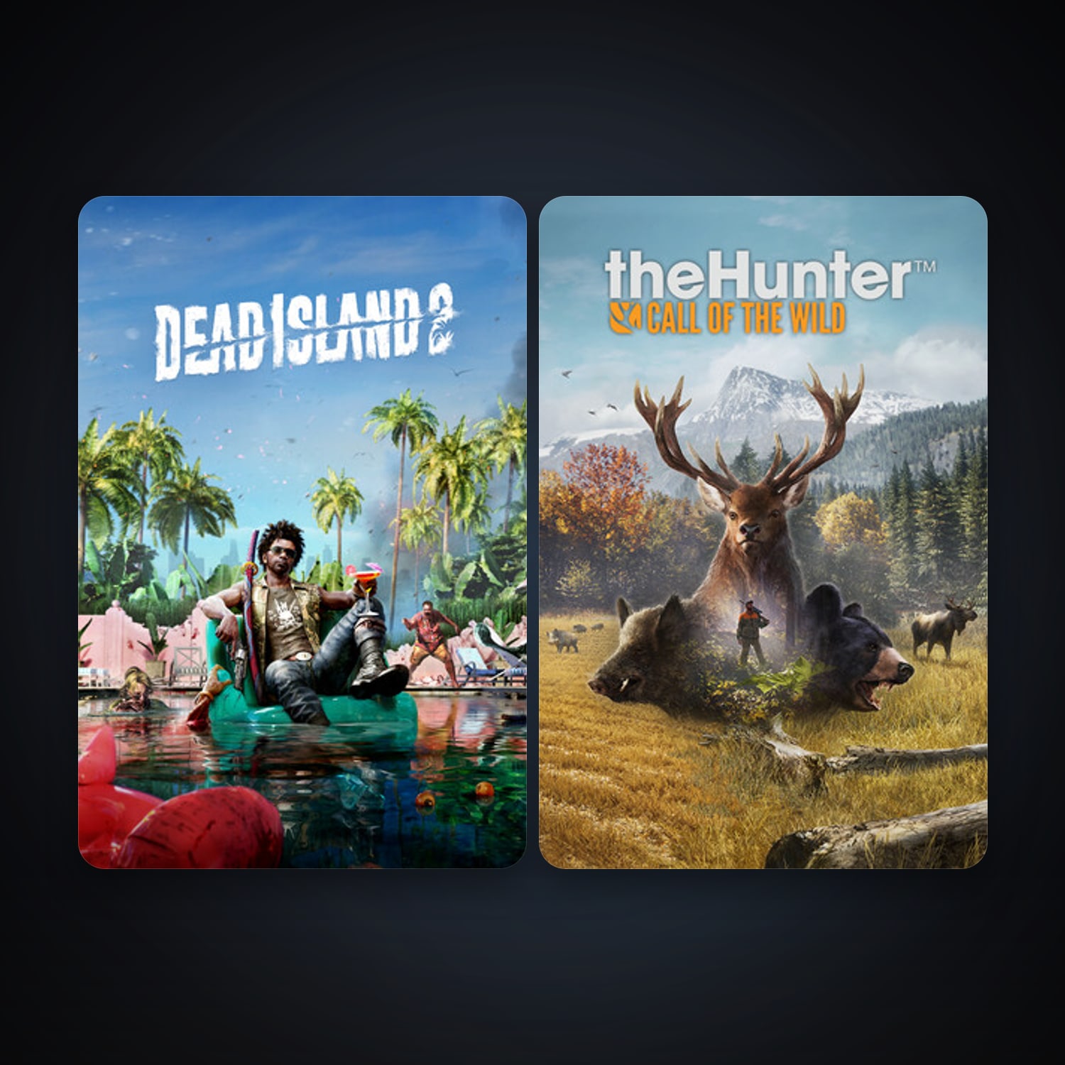 theHunter: Call of the Wild + Dead Island 2, 3 games, clean — HabibiAccounts