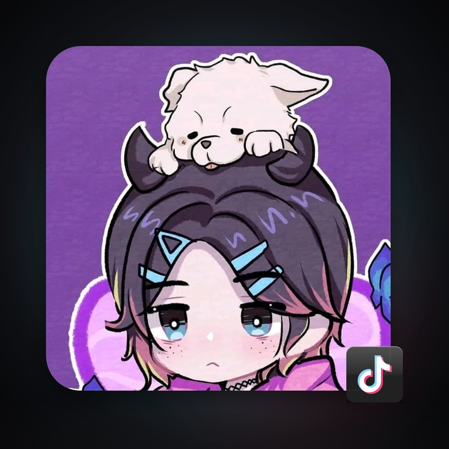 TikTok — HabibiAccounts