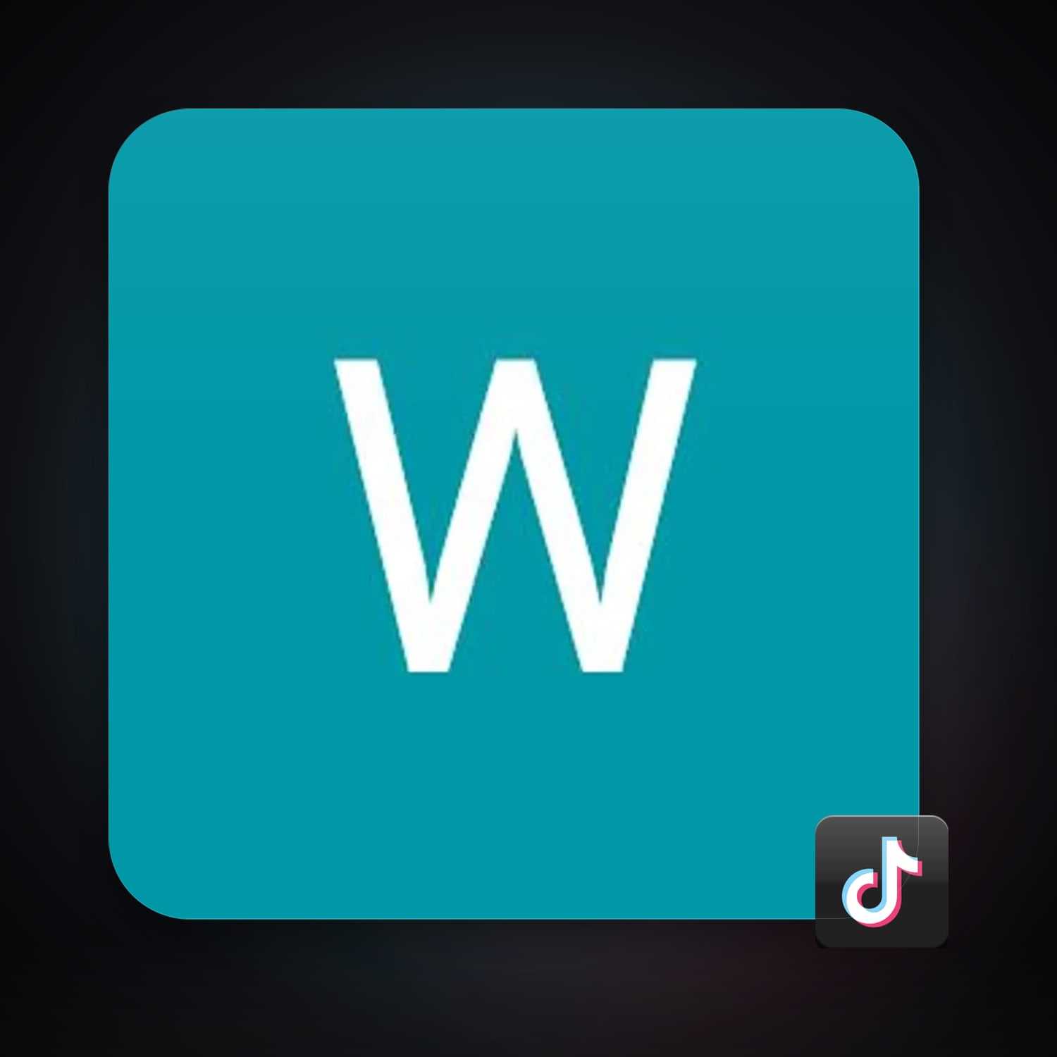 TikTok — HabibiAccounts