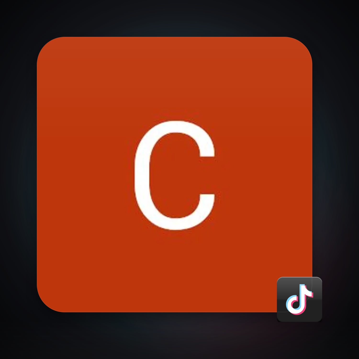 TikTok — HabibiAccounts