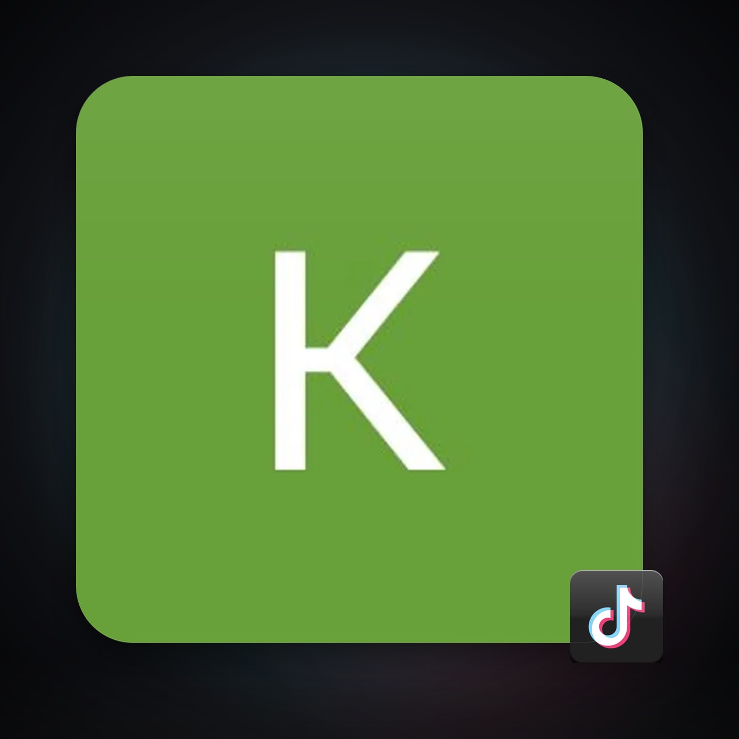 TikTok — HabibiAccounts