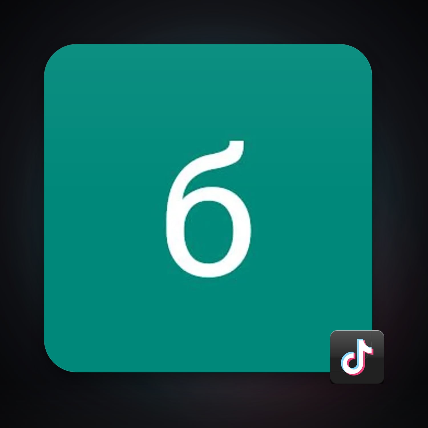 TikTok — HabibiAccounts