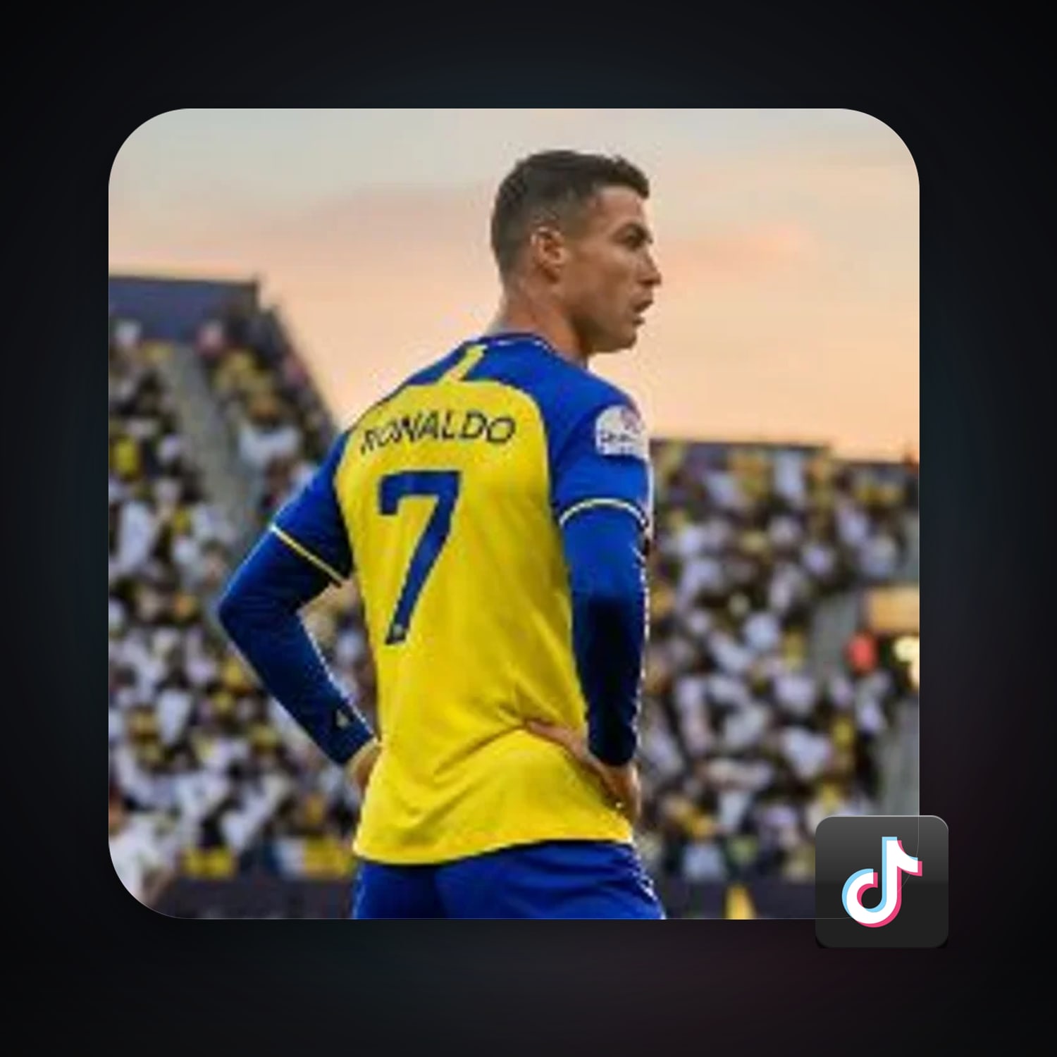 TikTok — HabibiAccounts