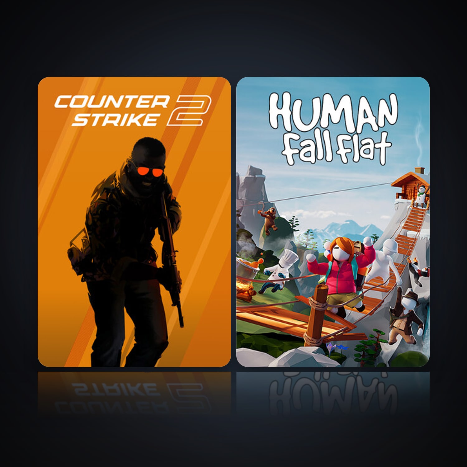 CS2 Prime & Human: Fall Flat | Has VAC — HabibiAccounts