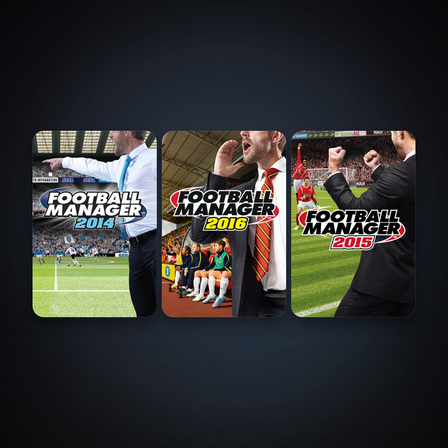 Football Manager 2014 + Football Manager 2015, 3 games, clean — HabibiAccounts