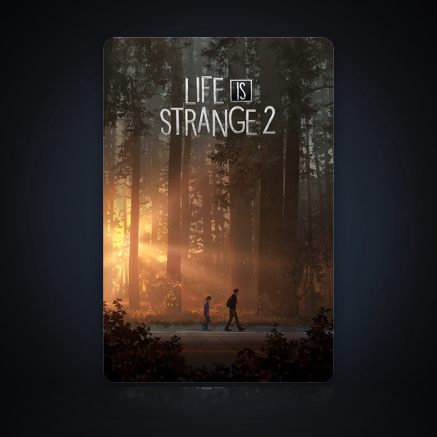 Life is Strange 2 — HabibiAccounts