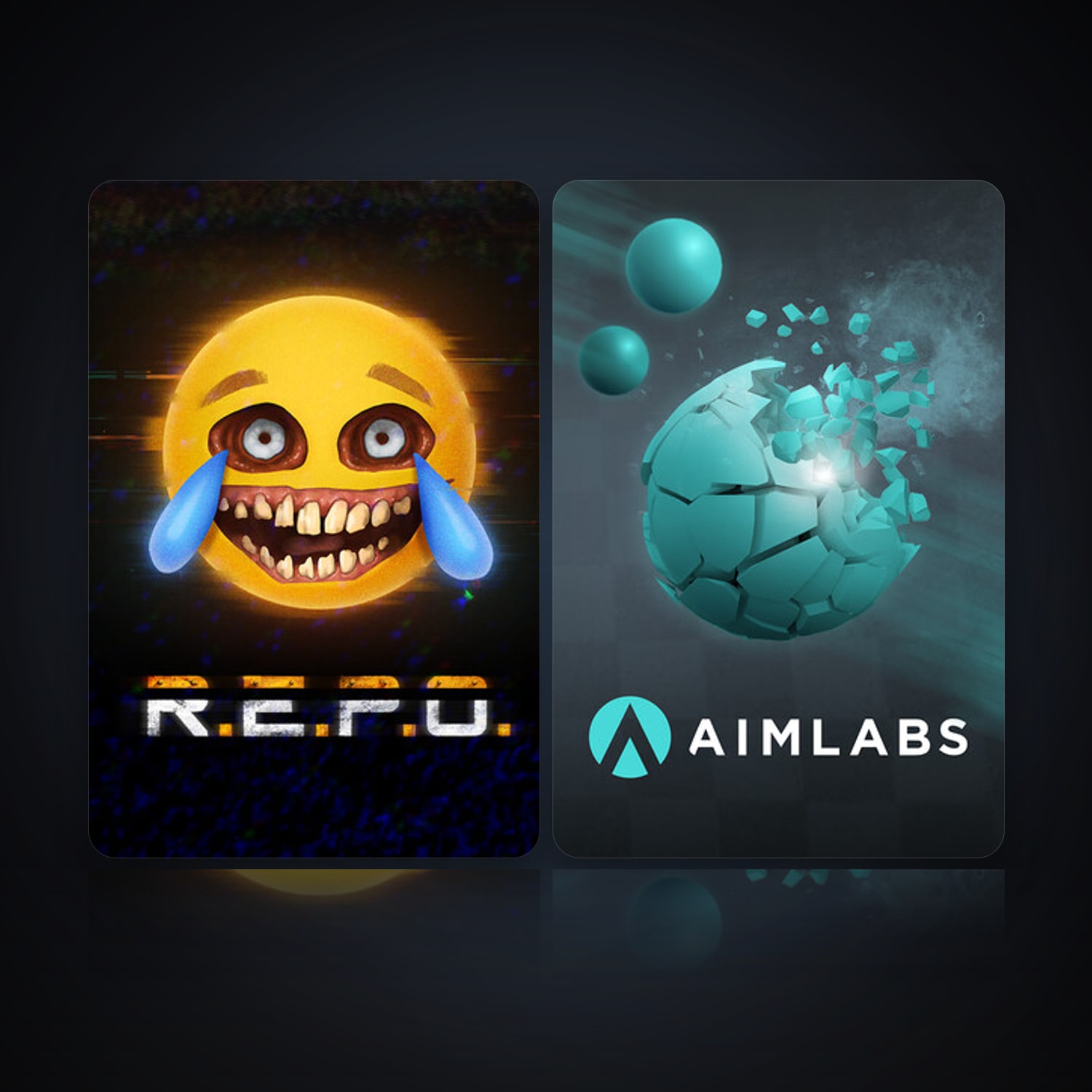 R.E.P.O. & Aimlabs — HabibiAccounts