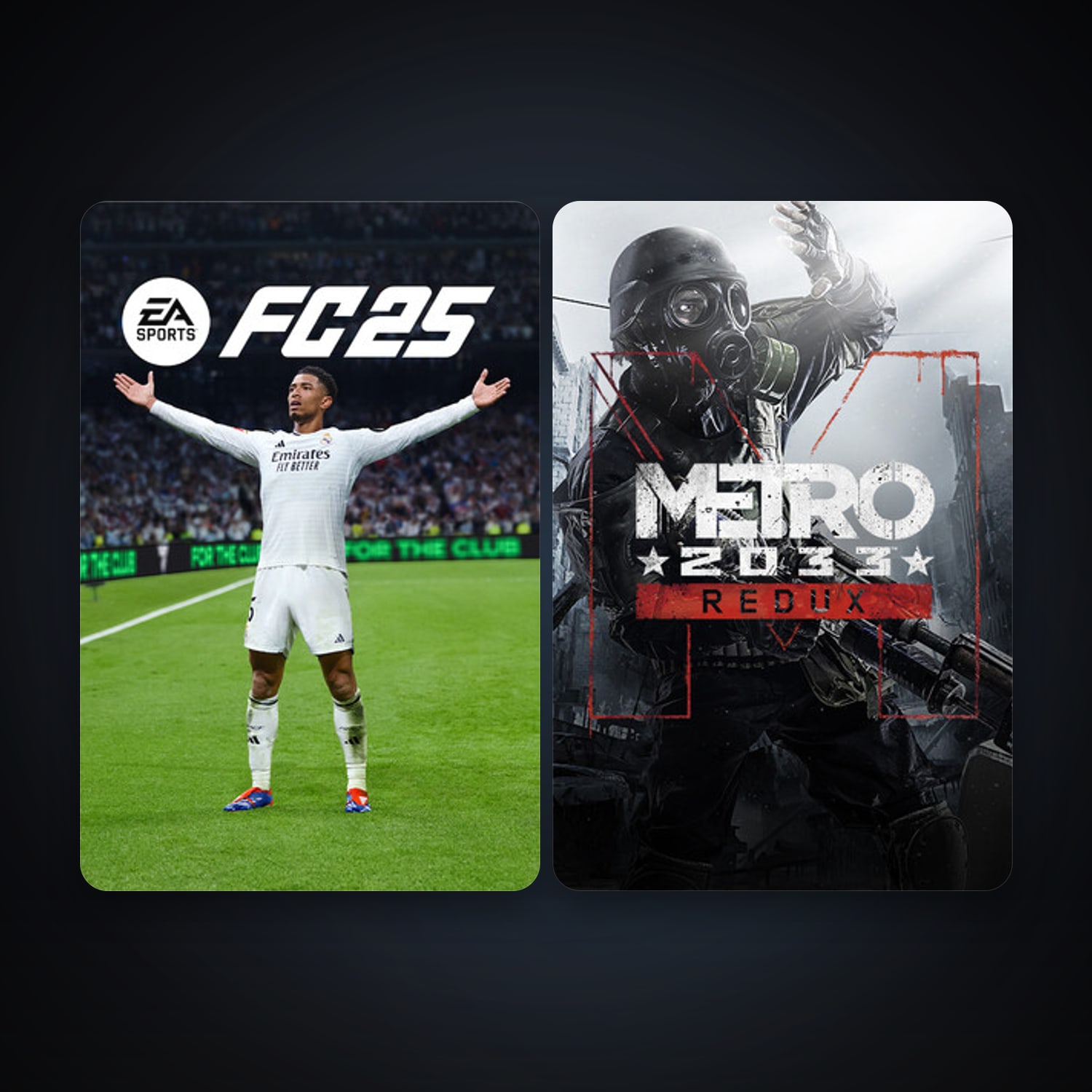 هالحساب ستيم فلين، Metro 2033 Redux وEA SPORTS FC 25، 2 لعبة، صامد واضح — HabibiAccounts