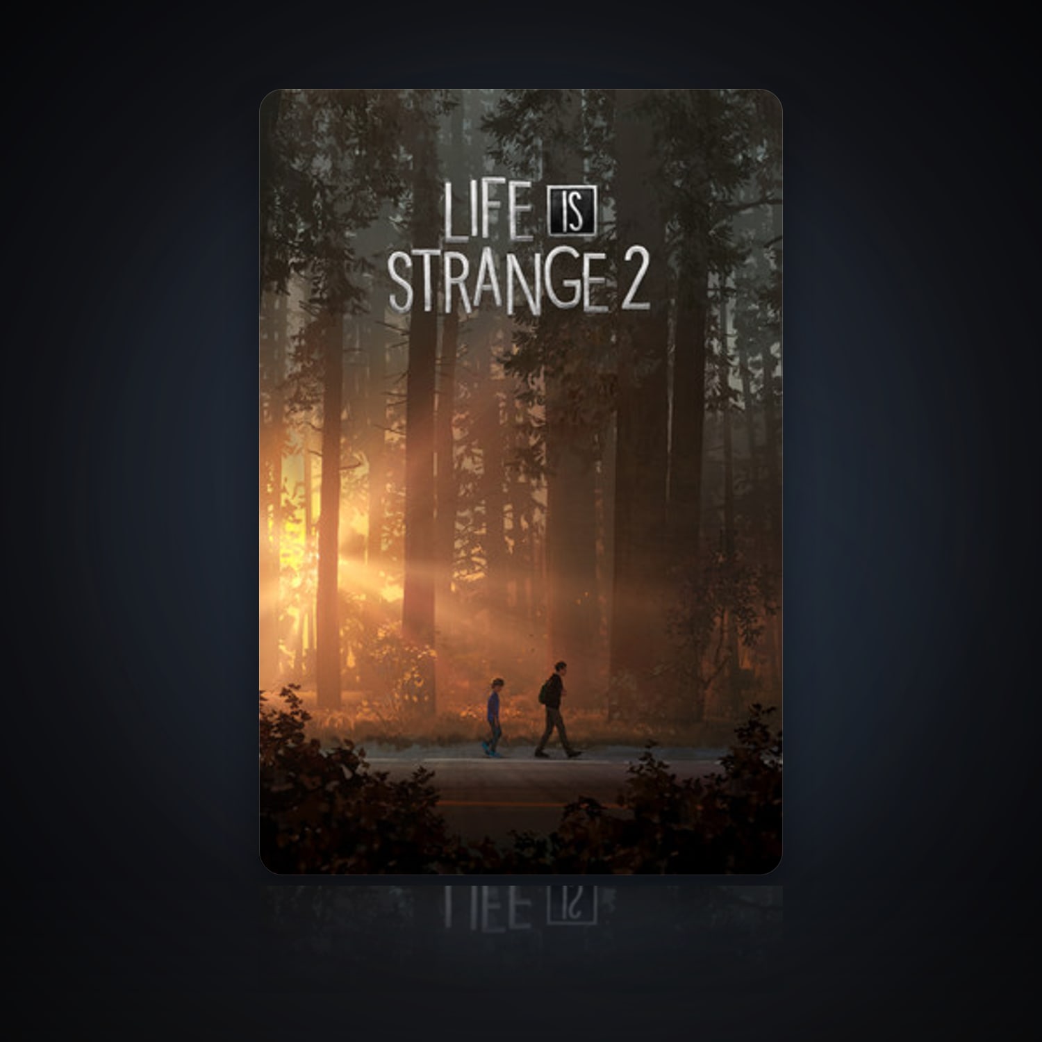 Life is Strange 2 — HabibiAccounts
