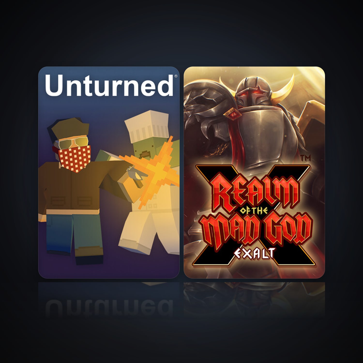 Unturned & Realm of the Mad God — HabibiAccounts