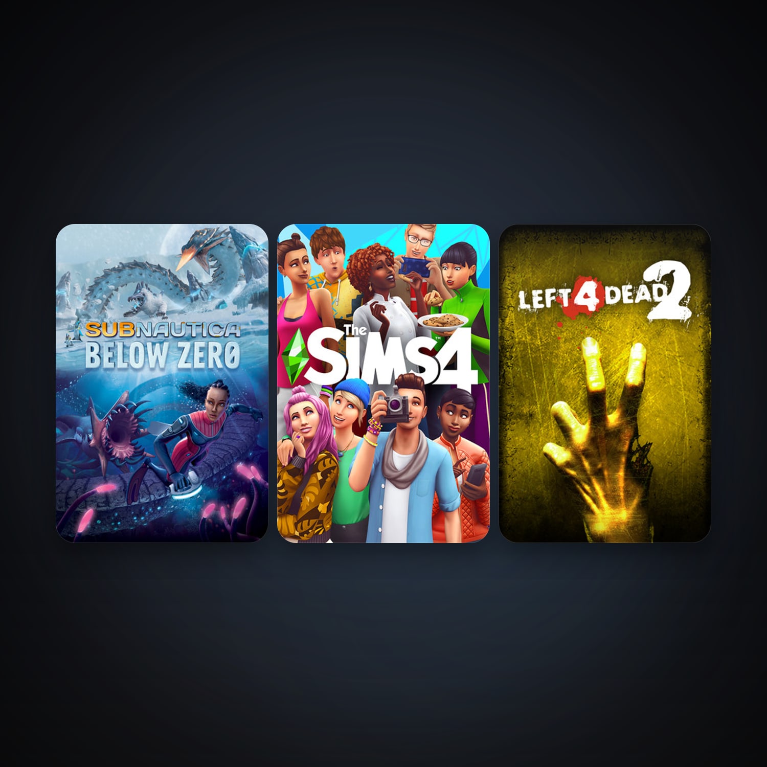 Left 4 Dead 2 + Subnautica: Below Zero, 3 games, clean — HabibiAccounts