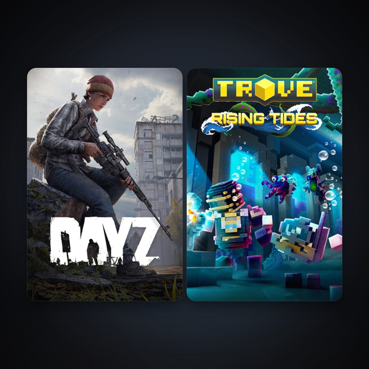 DayZ + Trove, 2 games, clean — HabibiAccounts