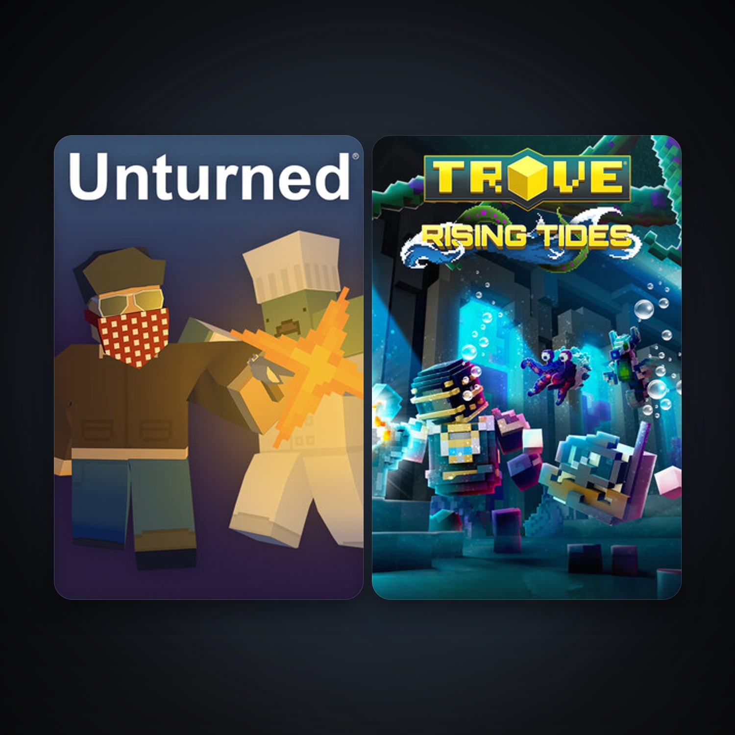 Trove + Unturned, 2 games, clean — HabibiAccounts