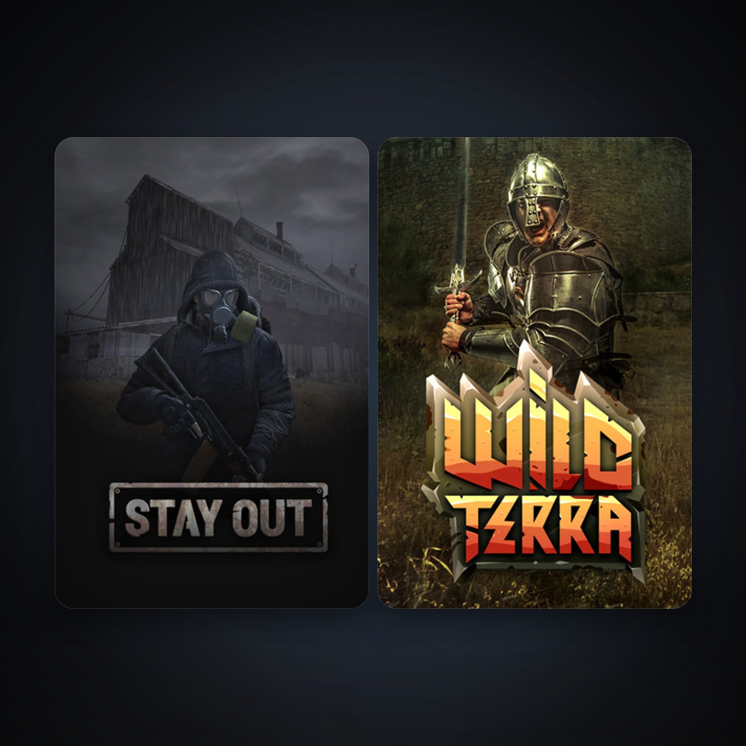 هالحساب ستيم فلين، Wild Terra Online وStay Out، 6 لعبة، صامد واضح — HabibiAccounts