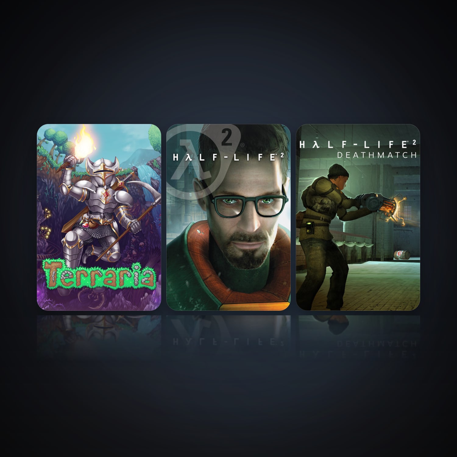 Terraria & Half-Life 2 | Clean — HabibiAccounts