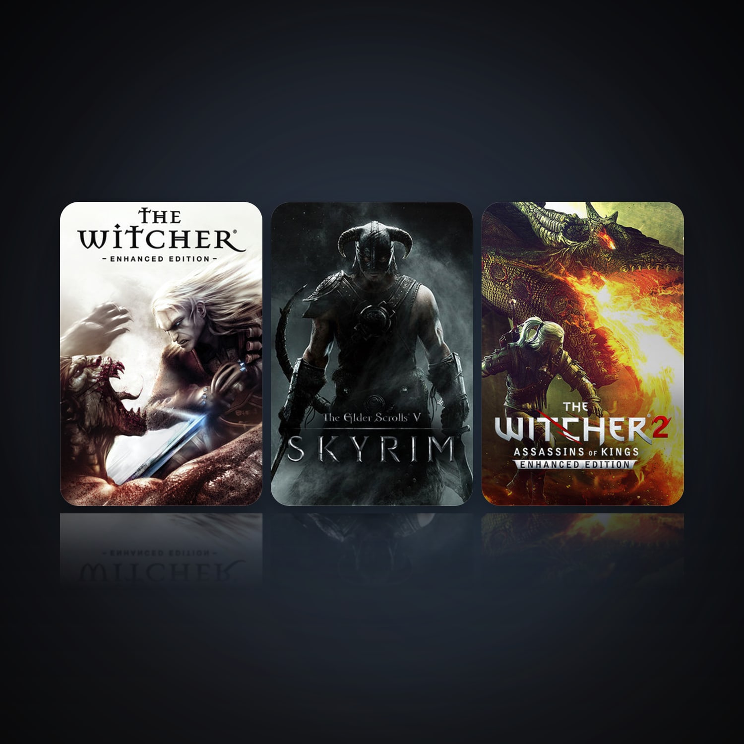 The Witcher: Enhanced Edition Director's Cut & The Elder Scrolls V: Skyrim | 11 Games | Clean — HabibiAccounts