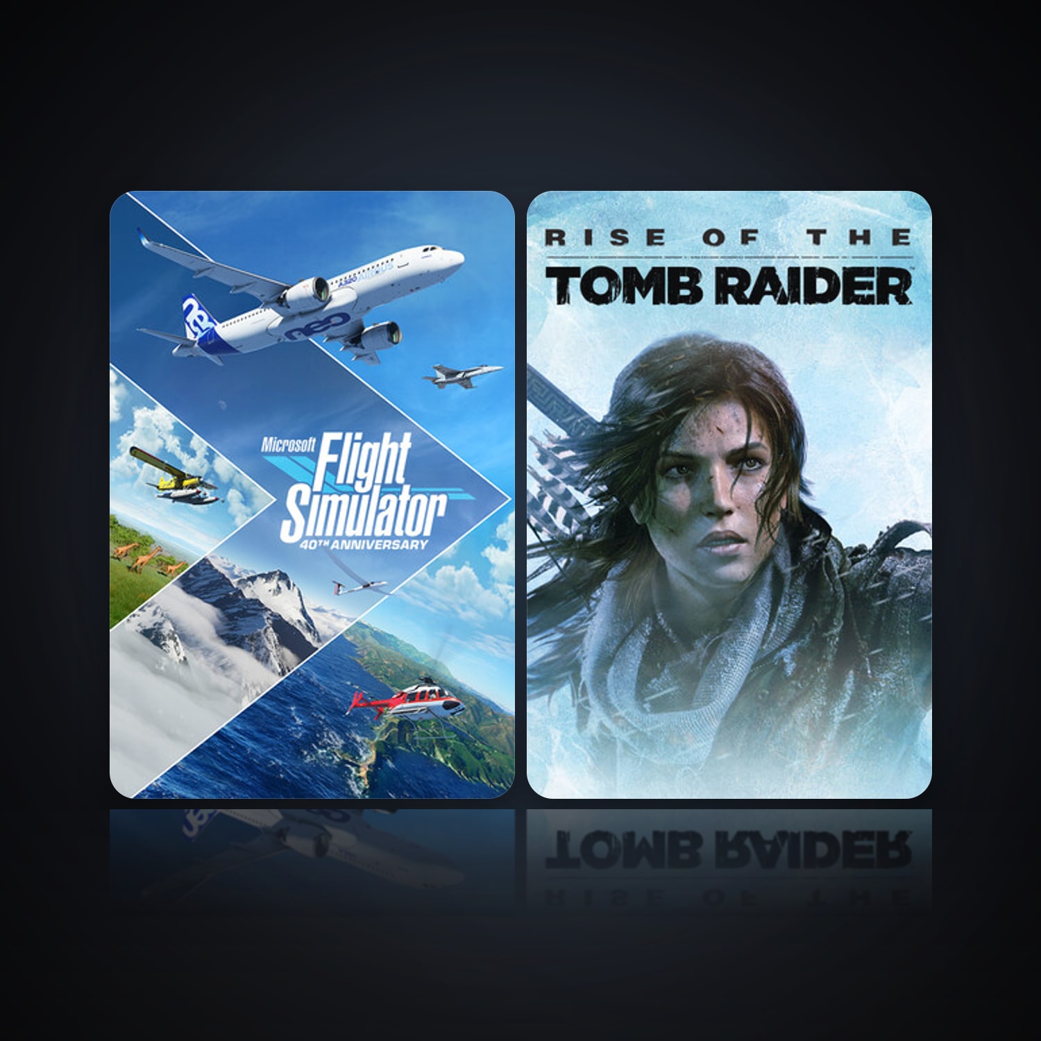 Microsoft Flight Simulator Game of the Year Edition & Rise of the Tomb Raider — HabibiAccounts