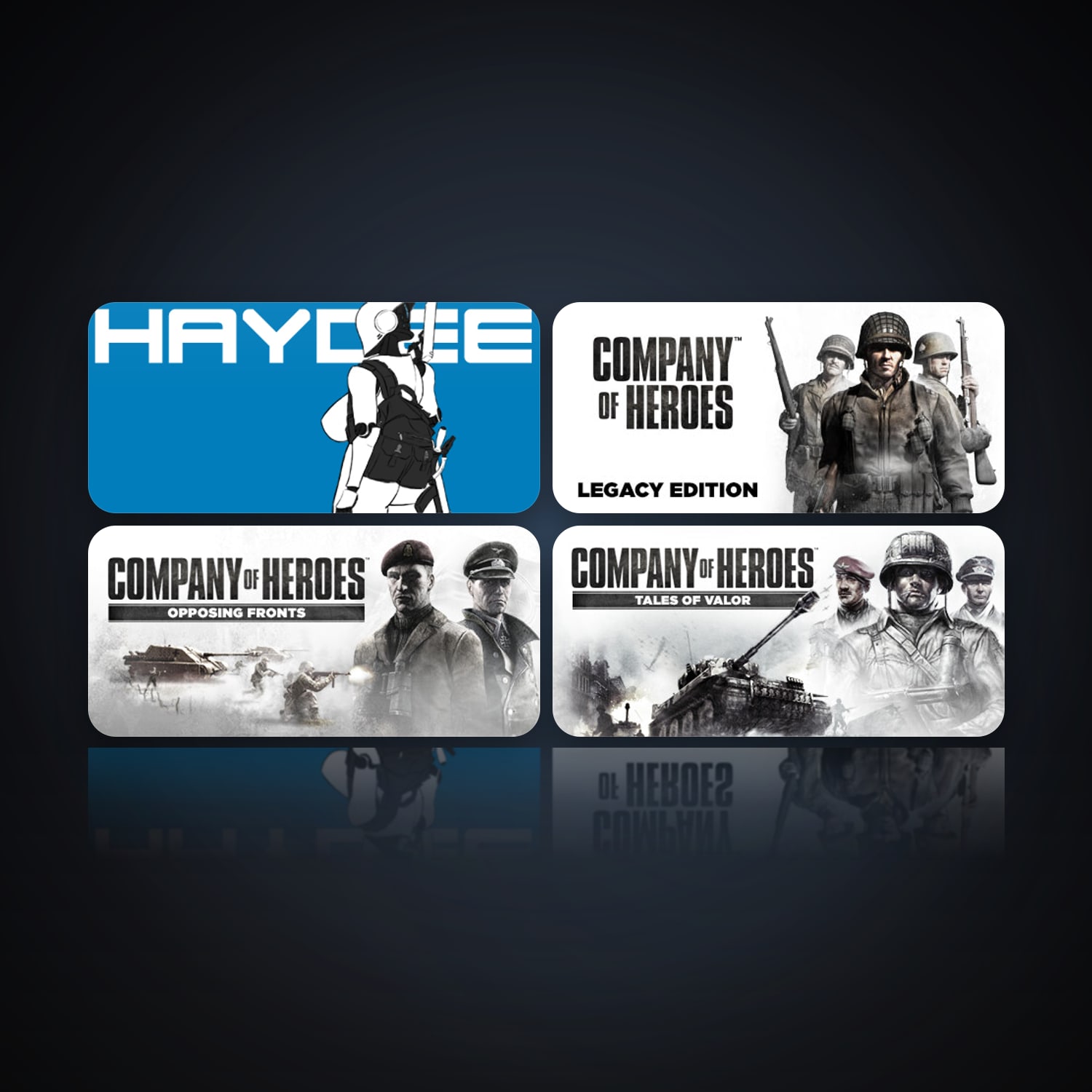 Haydee & Company of Heroes | 11 Games | Clean — HabibiAccounts