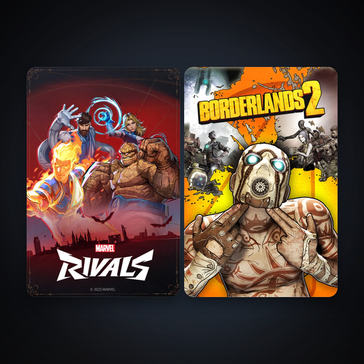 هالحساب ستيم فلين، Borderlands 2 وMarvel Rivals، 5 لعبة، صامد واضح — HabibiAccounts