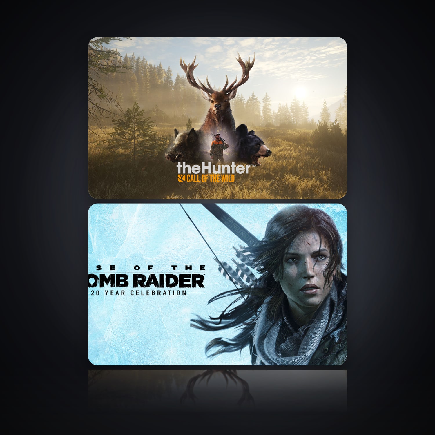 theHunter: Call of the Wild & Rise of the Tomb Raider: 20 Year Celebration | 2 Games — HabibiAccounts