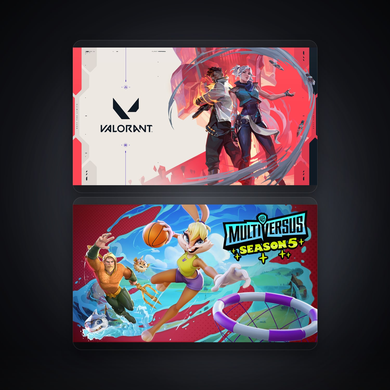 VALORANT & MultiVersus | 2 Games — HabibiAccounts