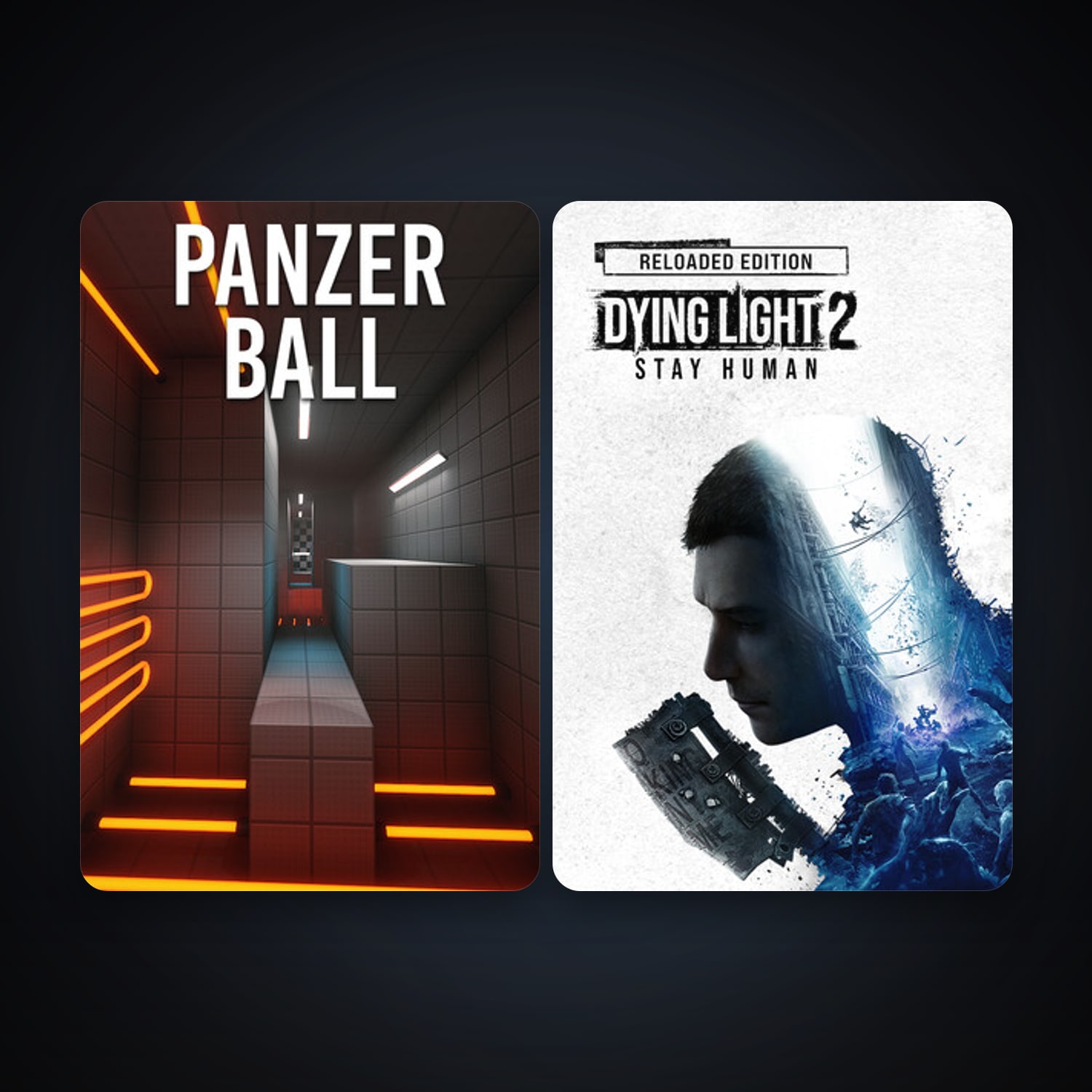 PANZER BALL + Dying Light 2 Stay Human, 5 games, clean — HabibiAccounts