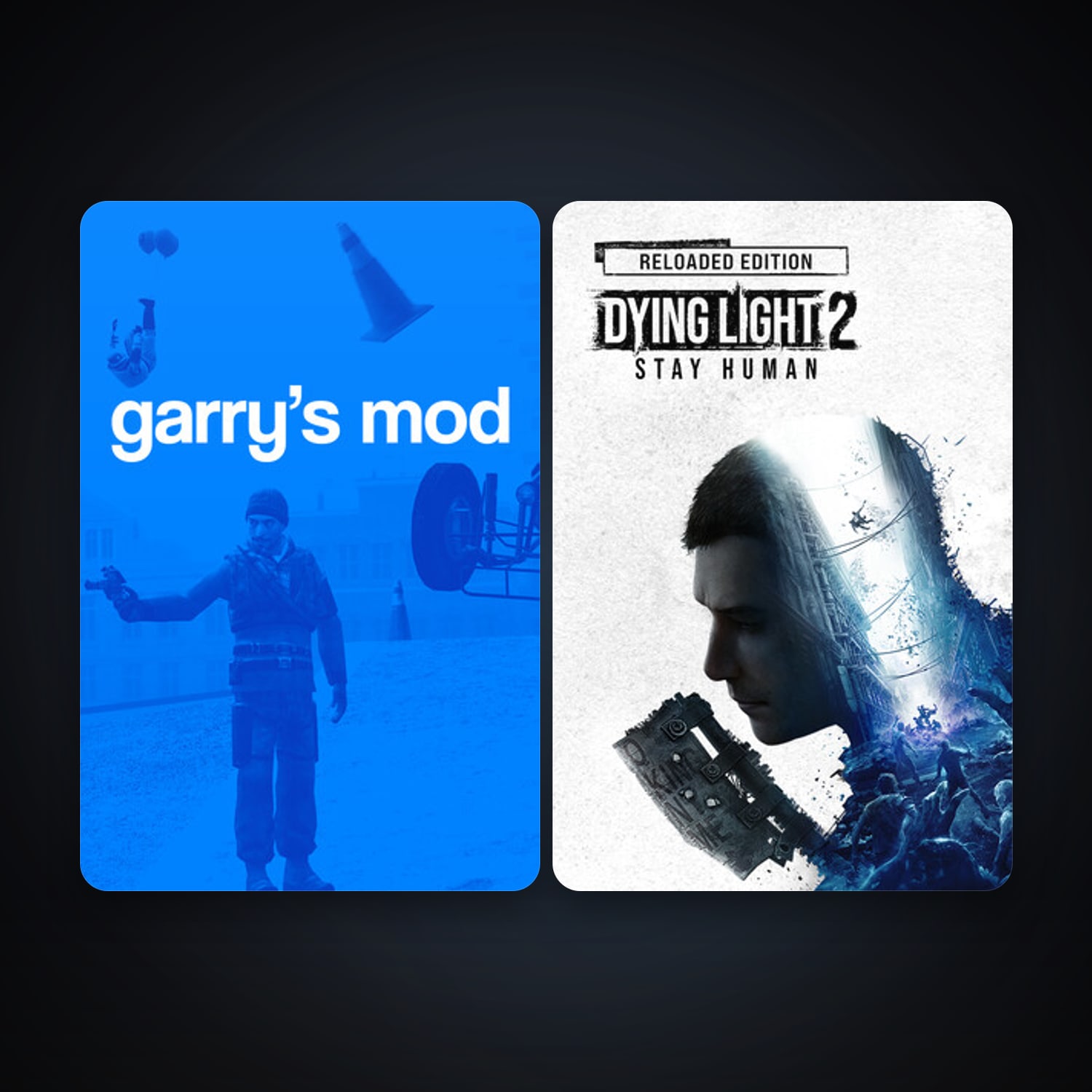 Garry's Mod + Dying Light 2 Stay Human, 2 games, clean — HabibiAccounts