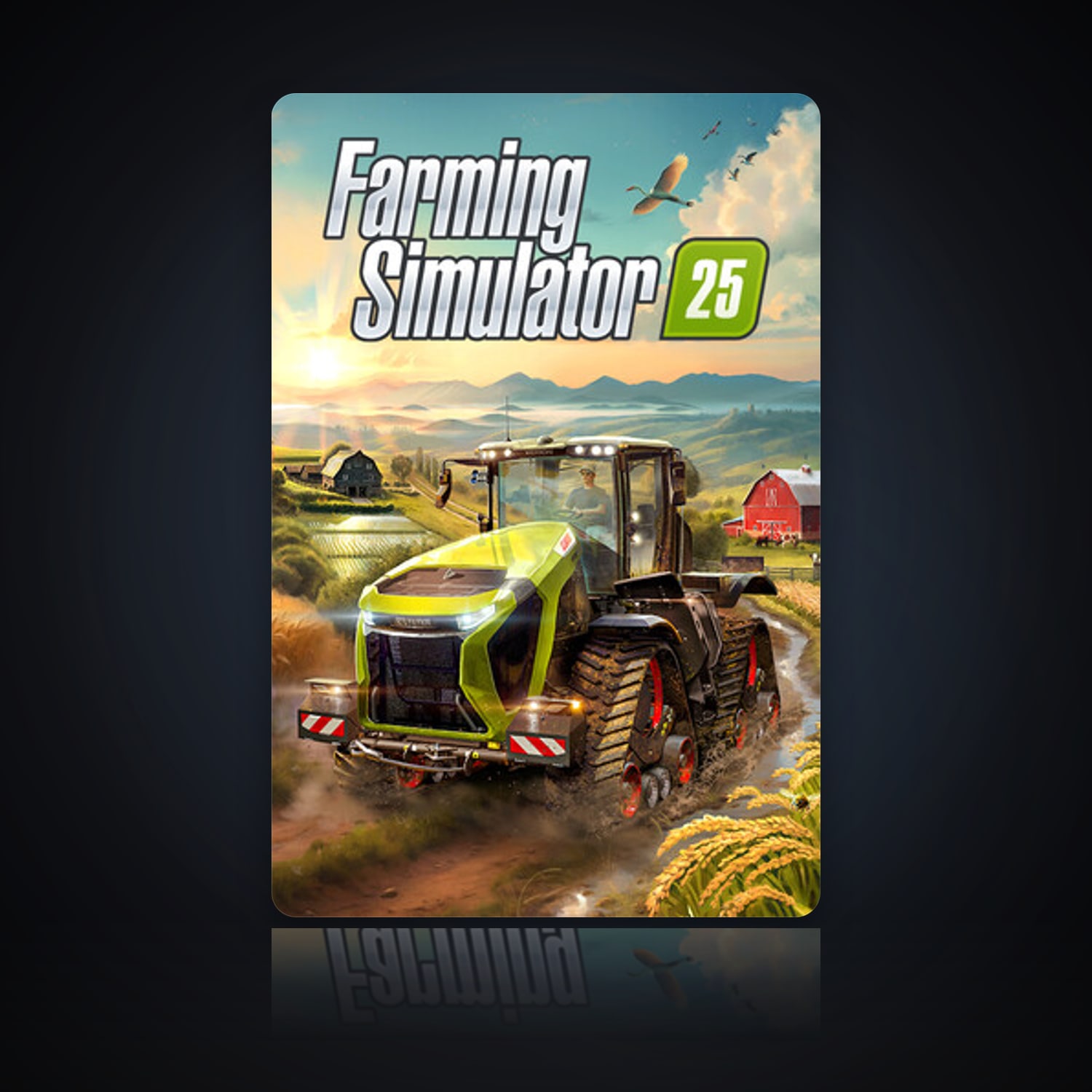 Farming Simulator 25 — HabibiAccounts