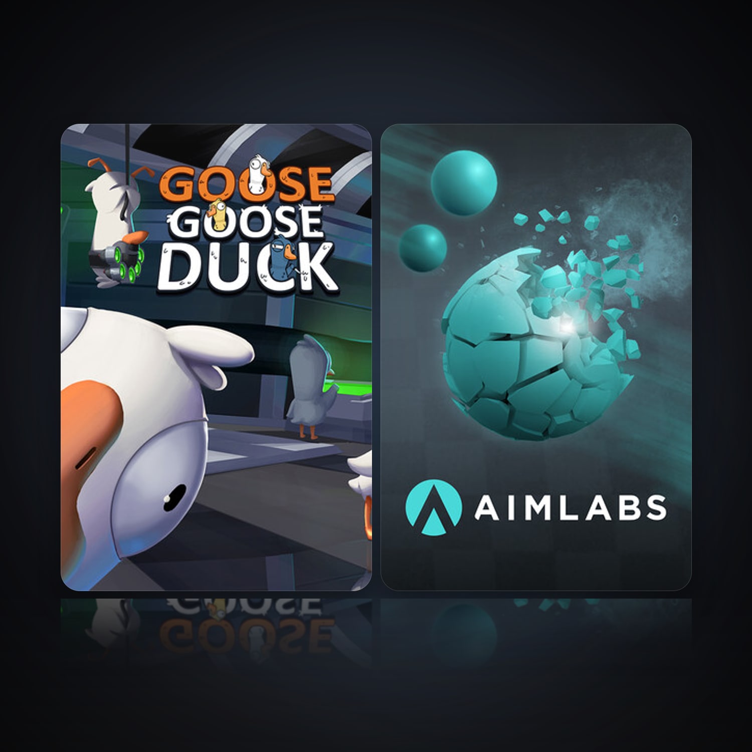 Goose Goose Duck & Aimlabs — HabibiAccounts