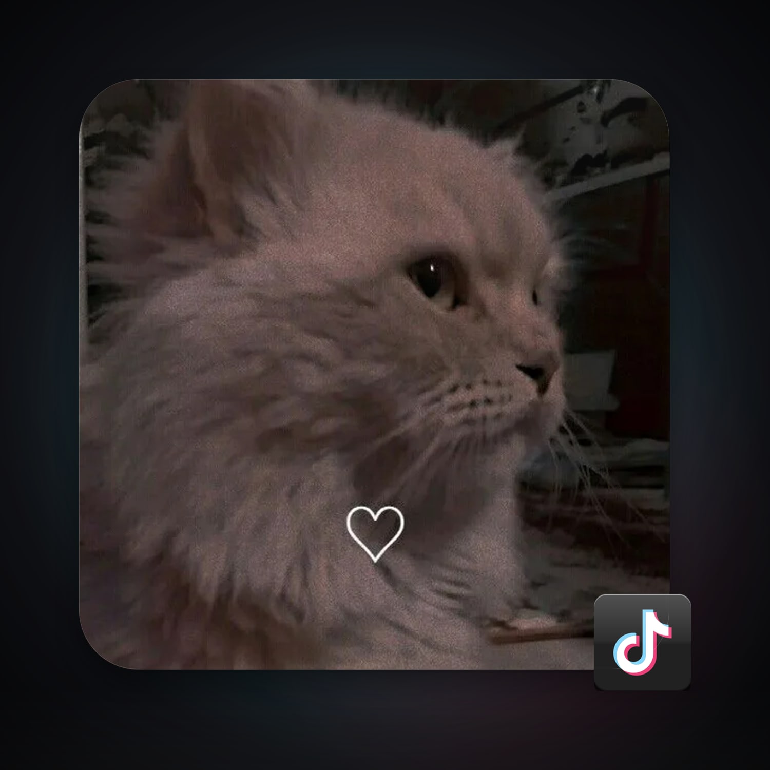 TikTok 5 followers · 257410903 — HabibiAccounts