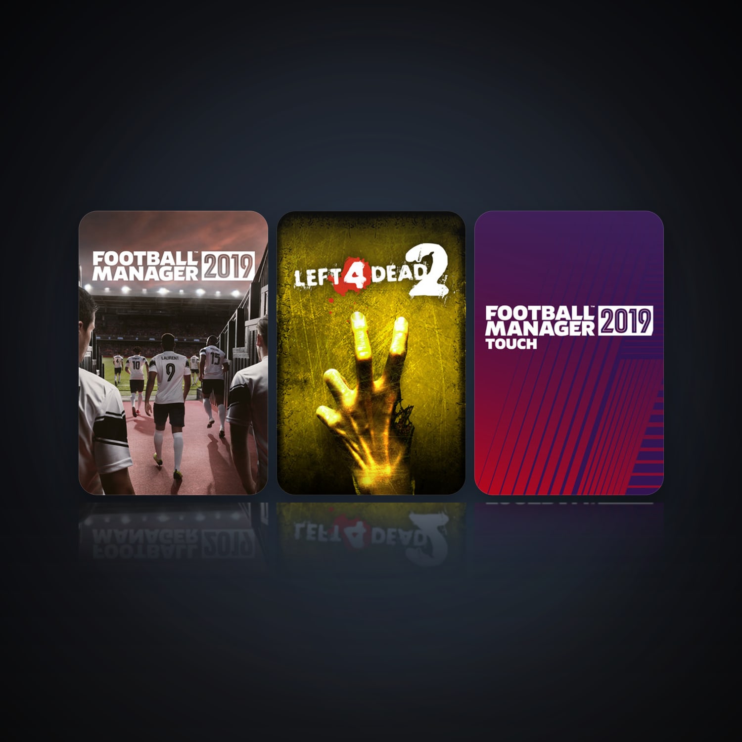 Football Manager 2019 & Left 4 Dead 2 — HabibiAccounts